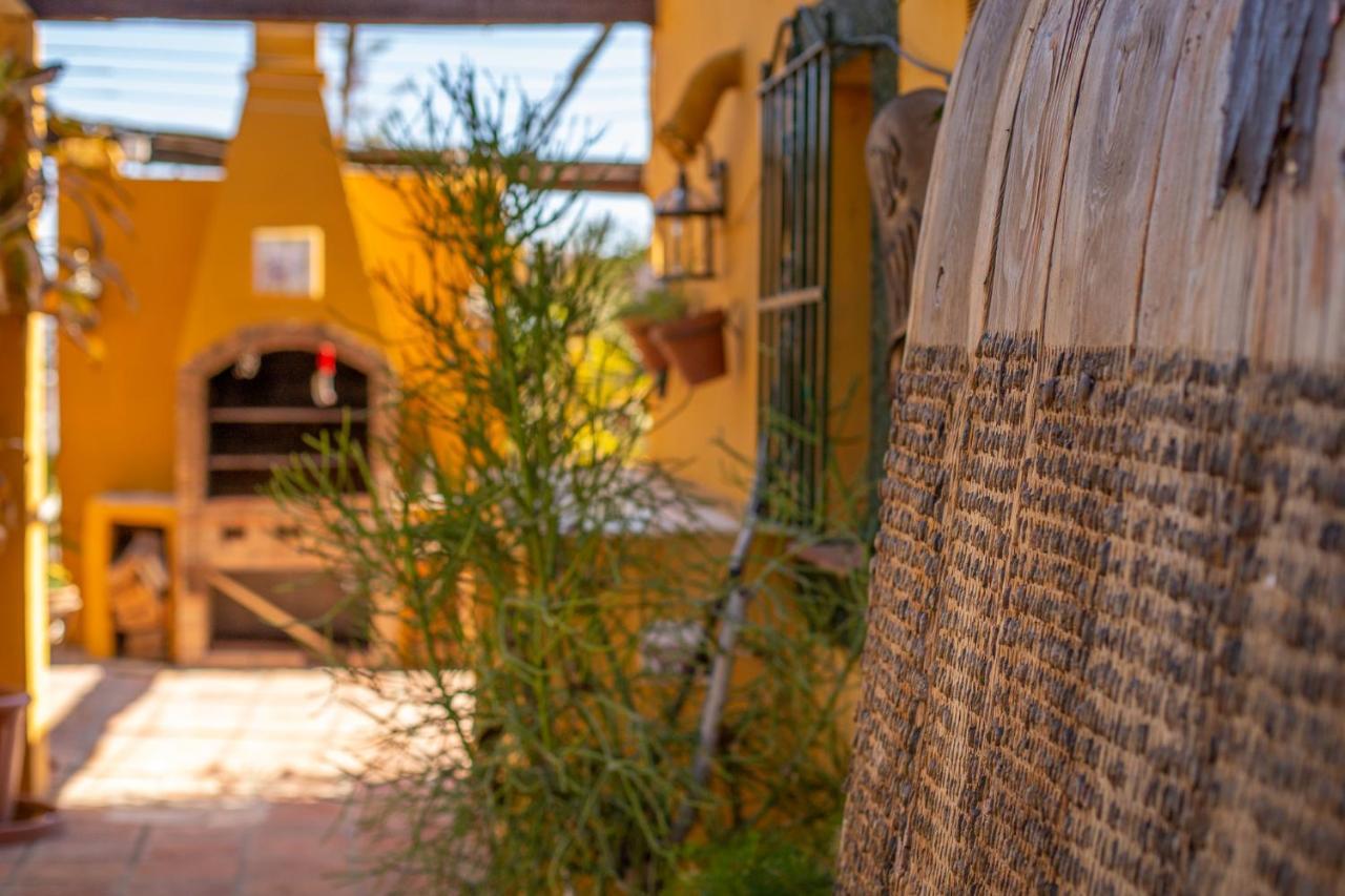 Hanami Finca Cumbres Borrascosas Estepona Exterior photo